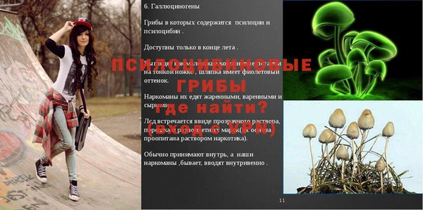 прущий лед Алзамай