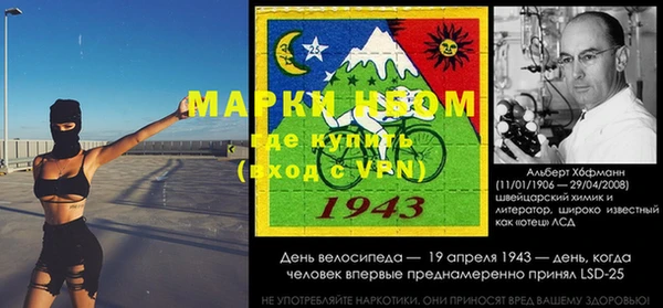 прущий лед Алзамай