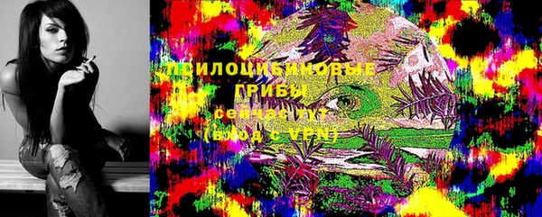 амф Алексеевка