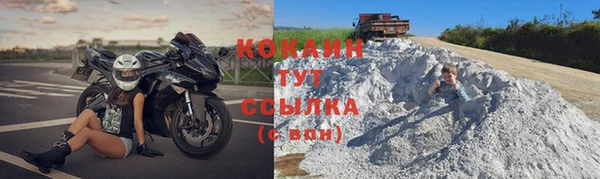 прущий лед Алзамай